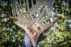 210923_JB-0895-HD (1)